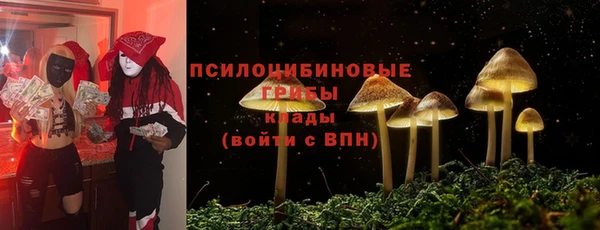бошки Горно-Алтайск