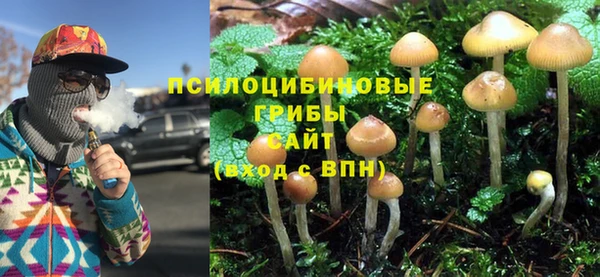 каннабис Горнозаводск