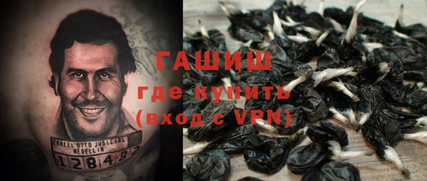 амф Горняк
