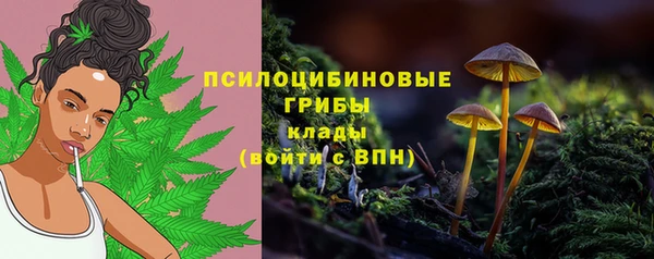 амф Горняк