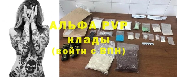 амф Горняк